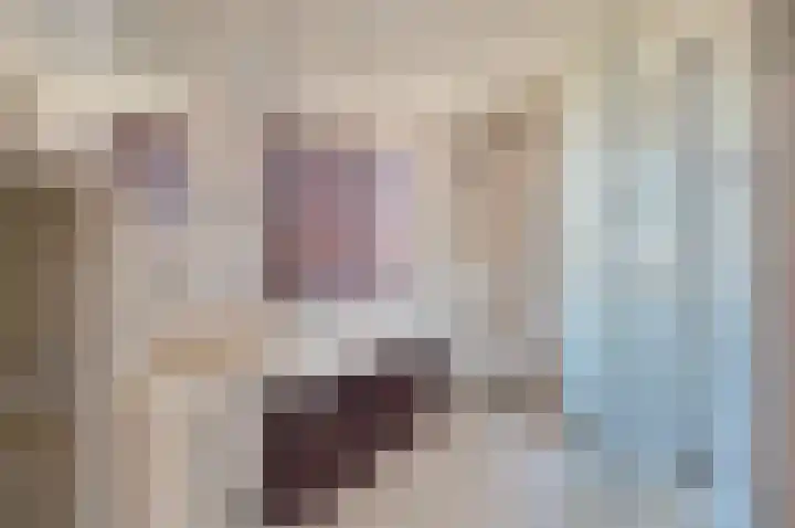 Dodaarslaan 99 Vinkeveen thumbnail 17