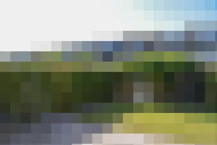 Dodaarslaan 99 Vinkeveen thumbnail 21