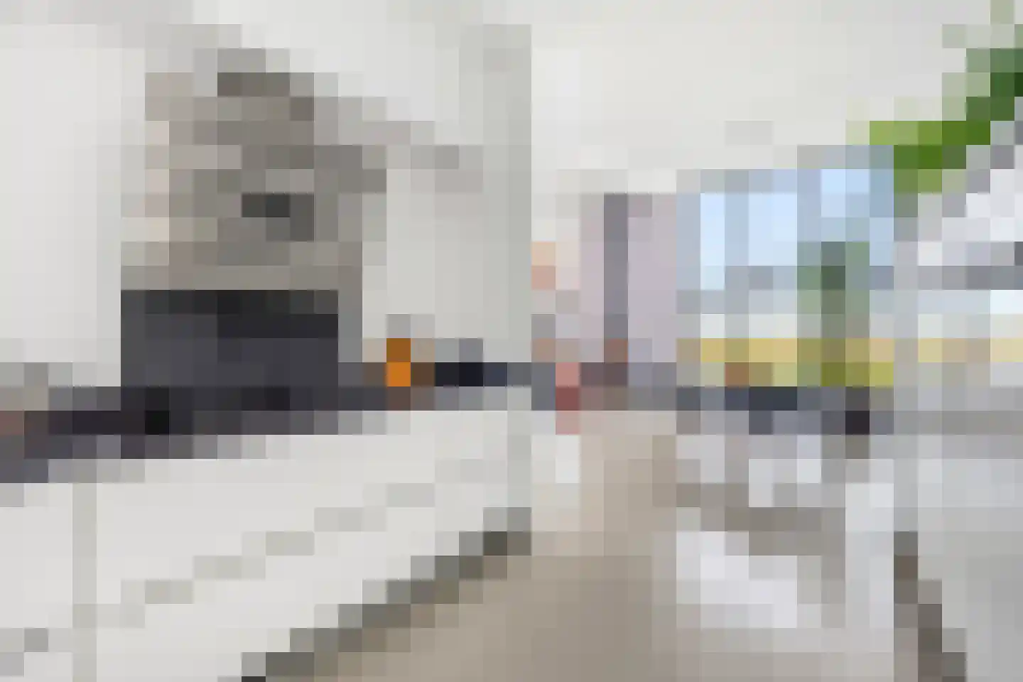 Dodaarsoever 13 Den Haag thumbnail 31