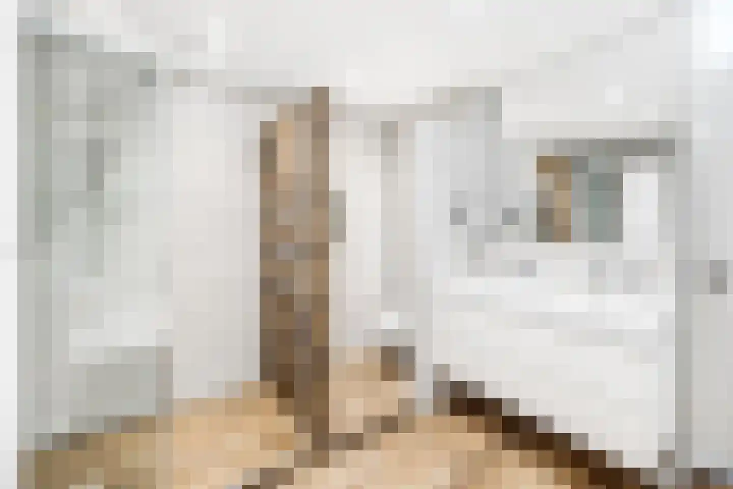Dodaarsoever 13 Den Haag thumbnail 52