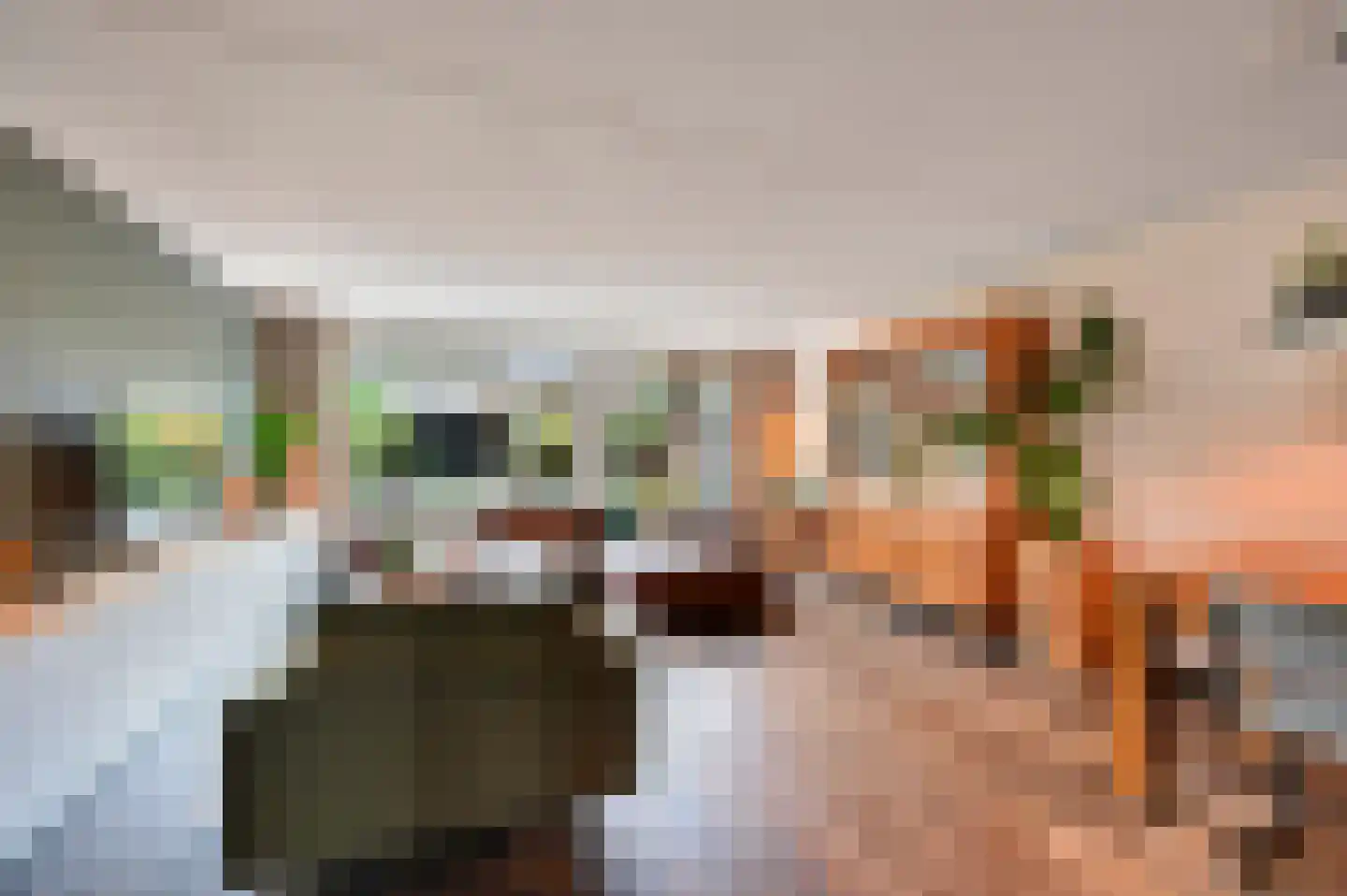 Dodaarsoever 14 Den Haag thumbnail 10