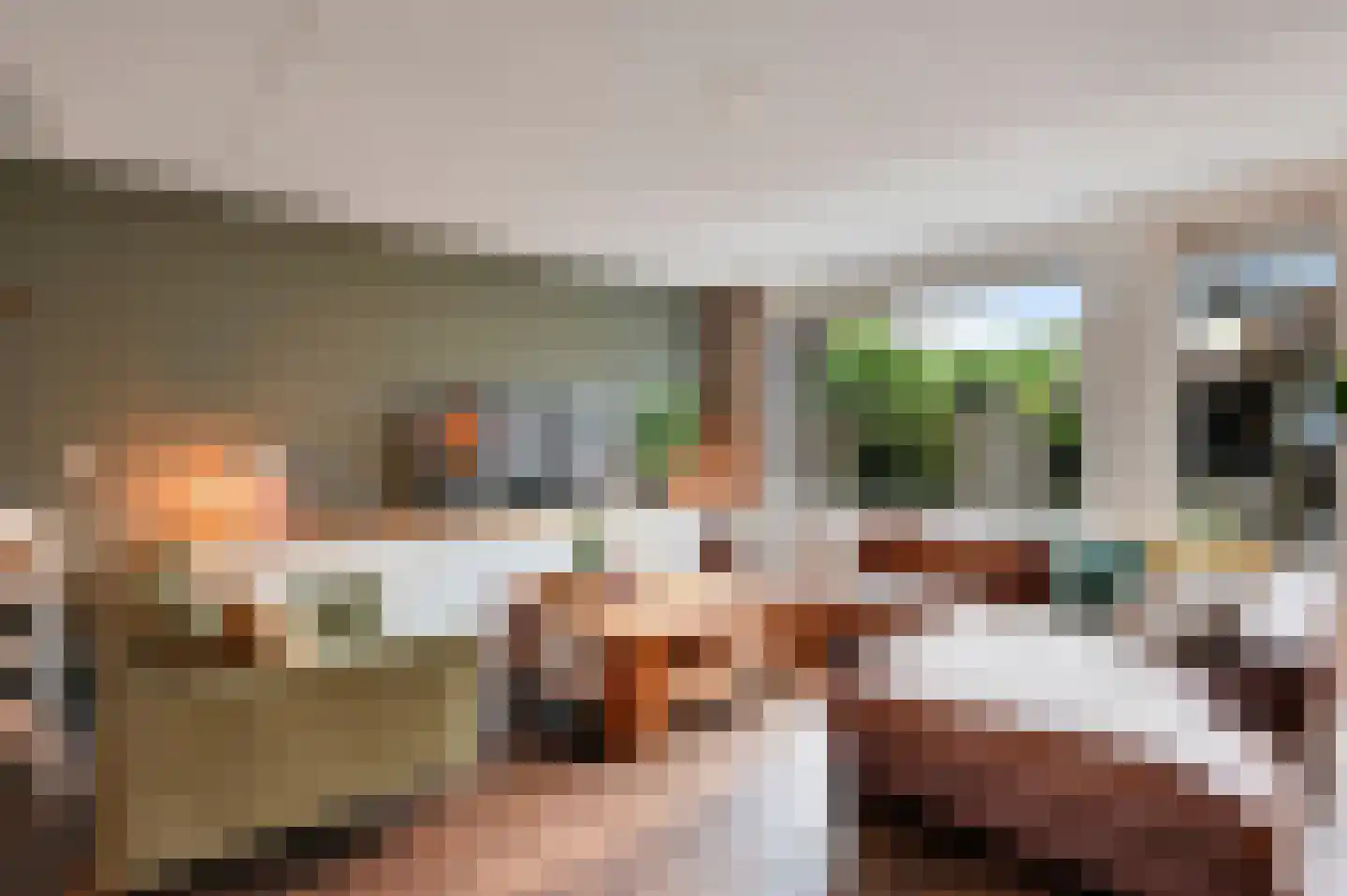 Dodaarsoever 14 Den Haag thumbnail 11
