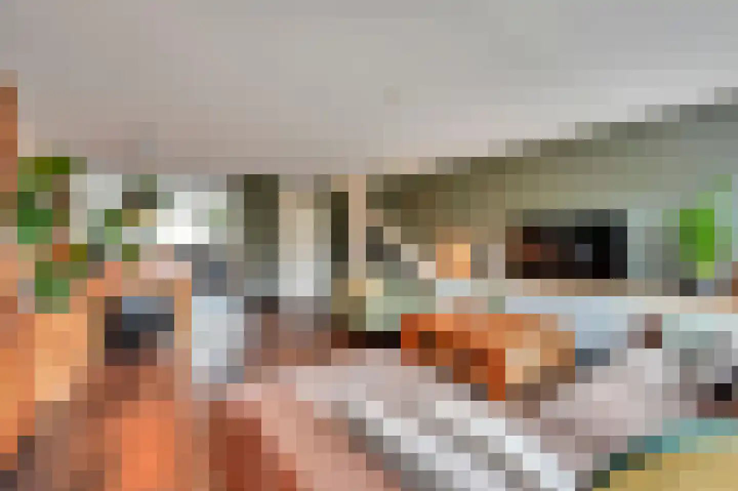 Dodaarsoever 14 Den Haag thumbnail 12