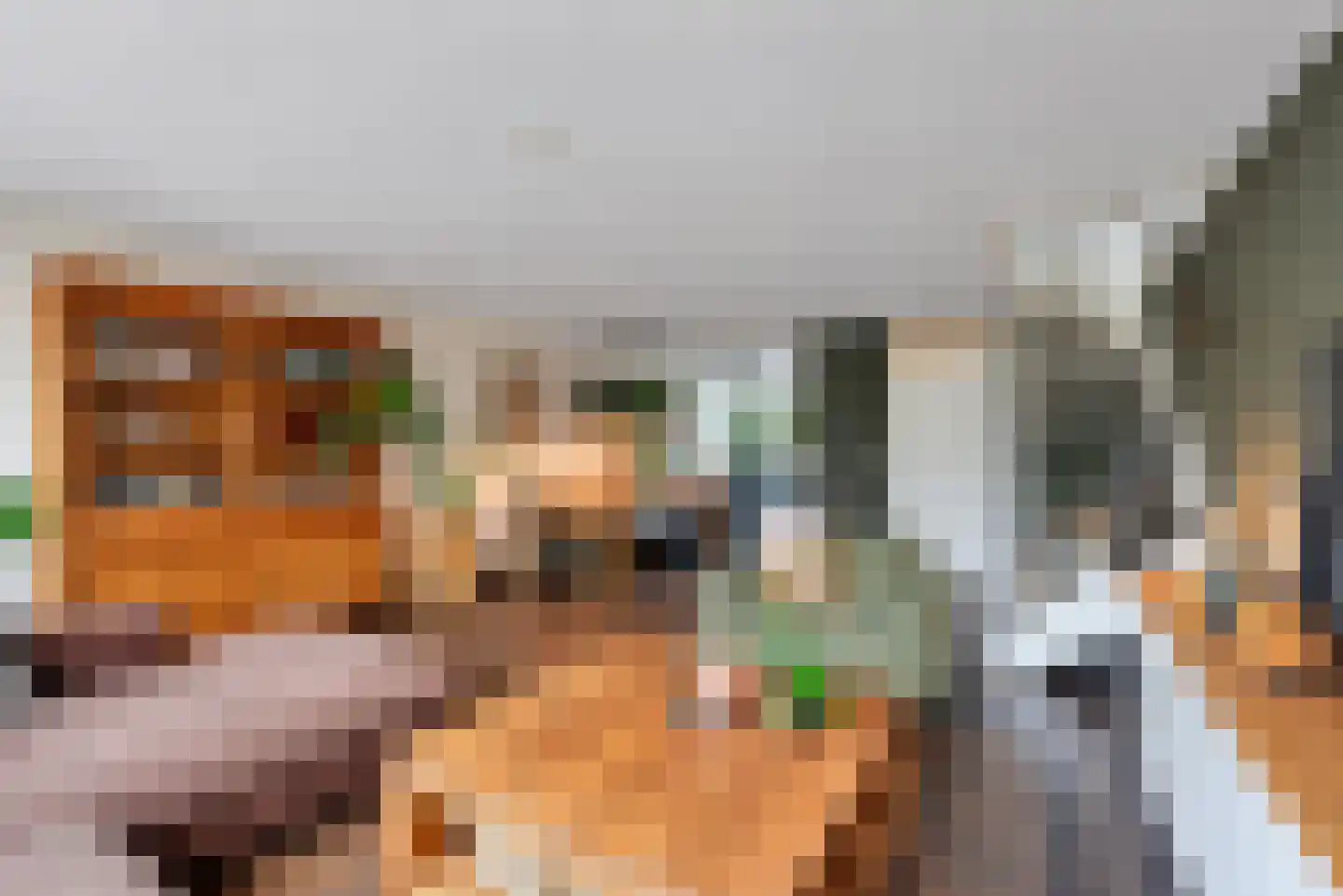 Dodaarsoever 14 Den Haag thumbnail 13