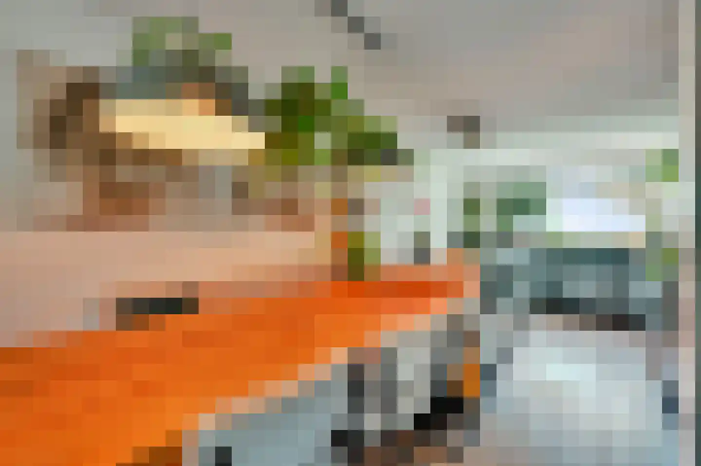Dodaarsoever 14 Den Haag thumbnail 14