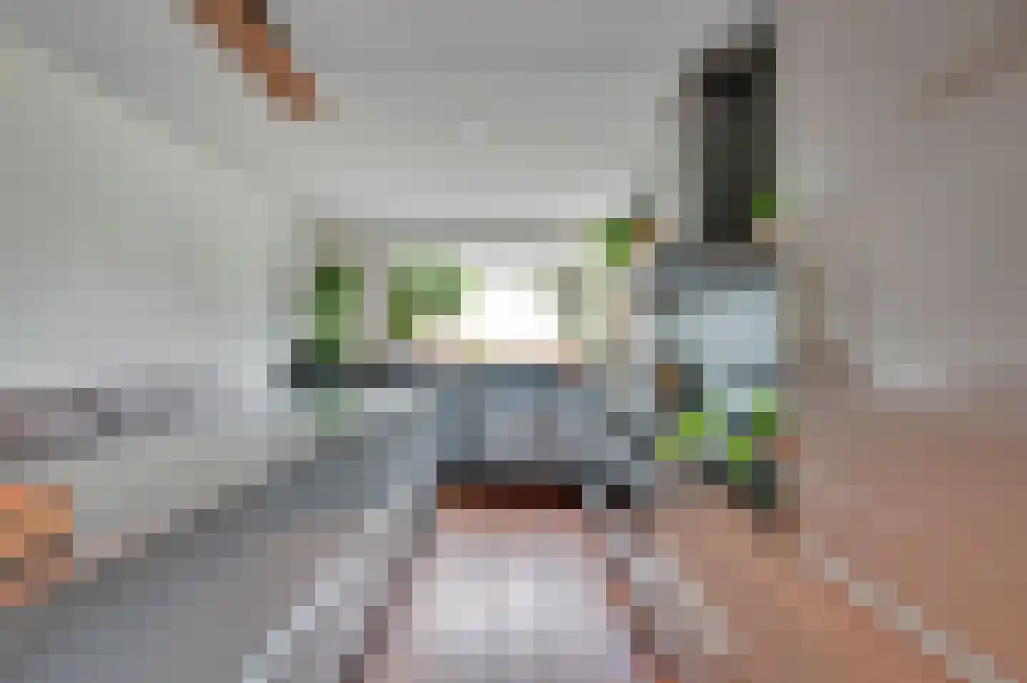 Dodaarsoever 14 Den Haag thumbnail 16