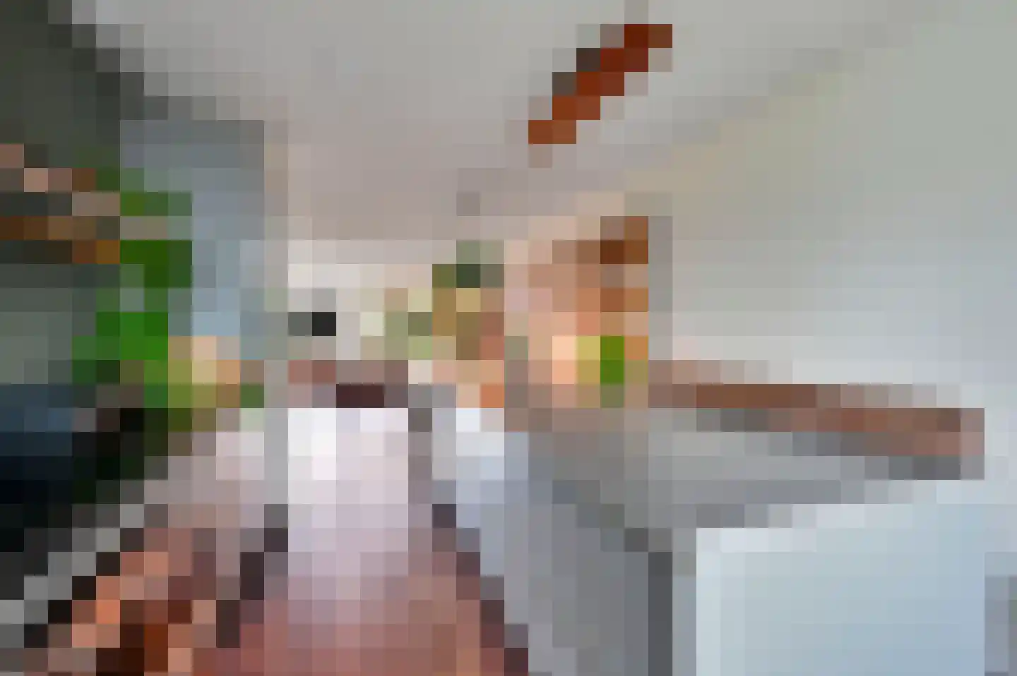 Dodaarsoever 14 Den Haag thumbnail 18
