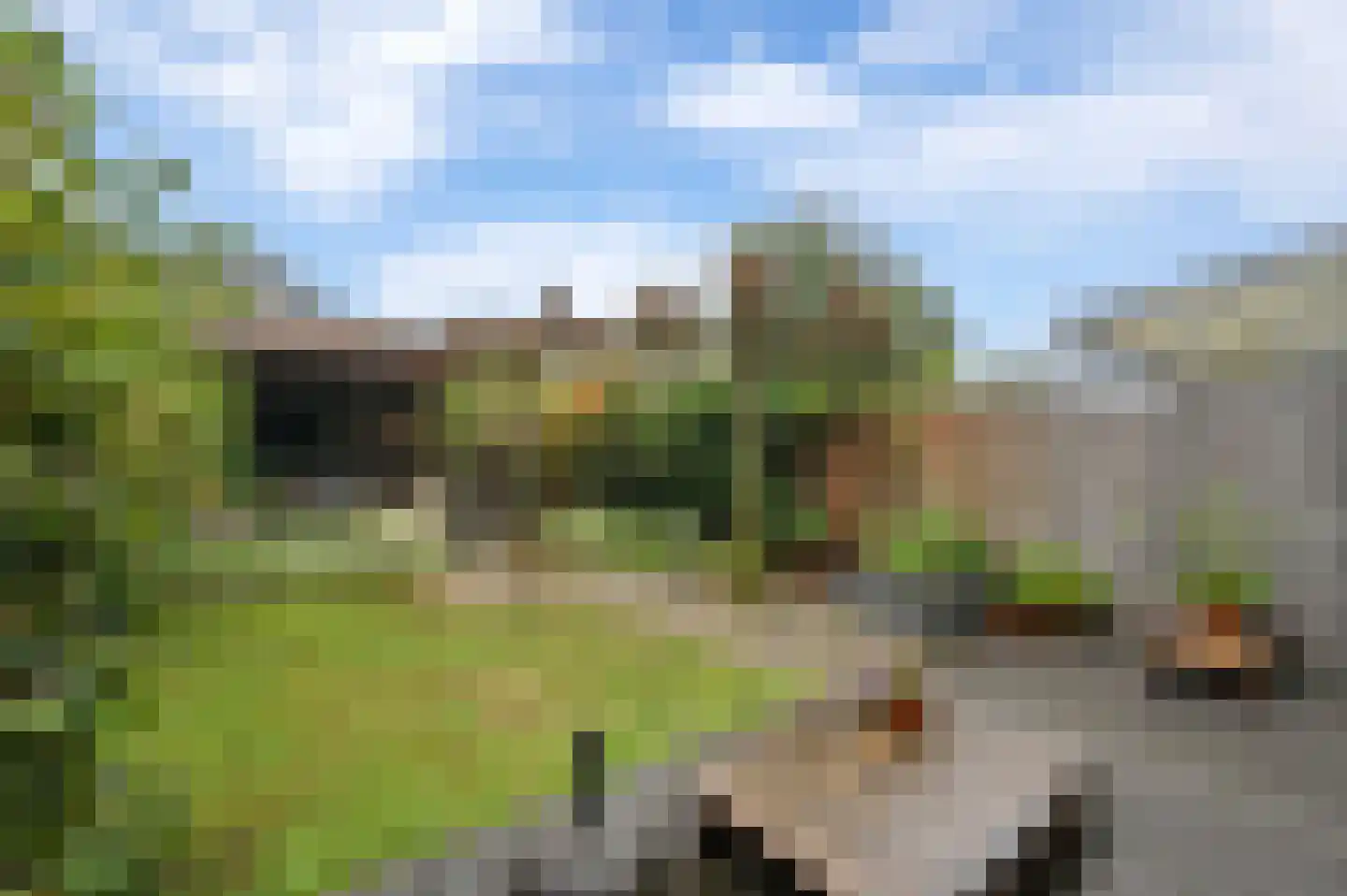 Dodaarsoever 14 Den Haag thumbnail 19