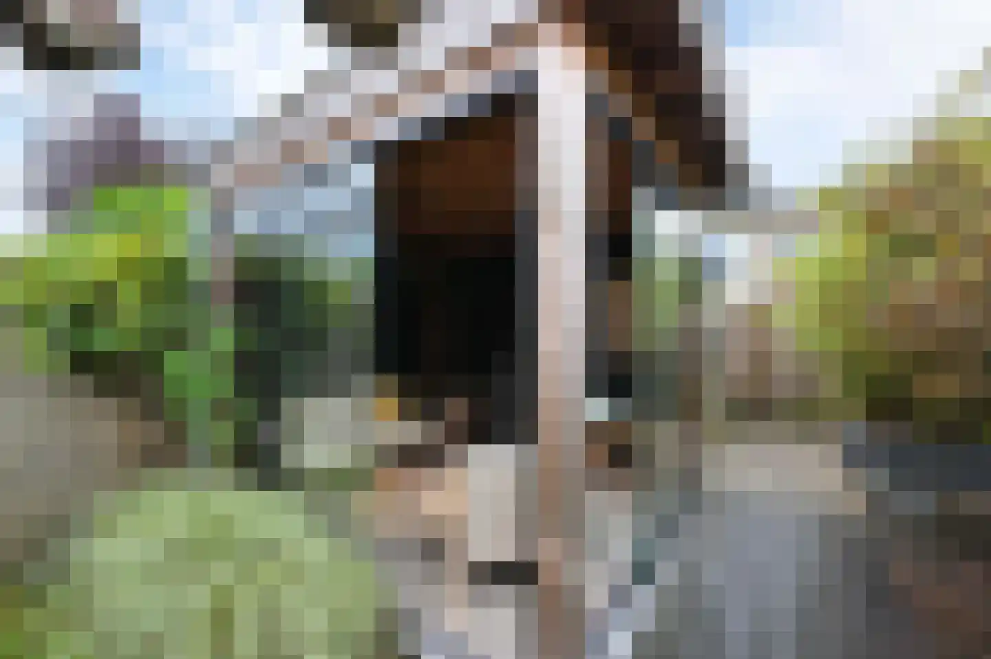 Dodaarsoever 14 Den Haag thumbnail 25