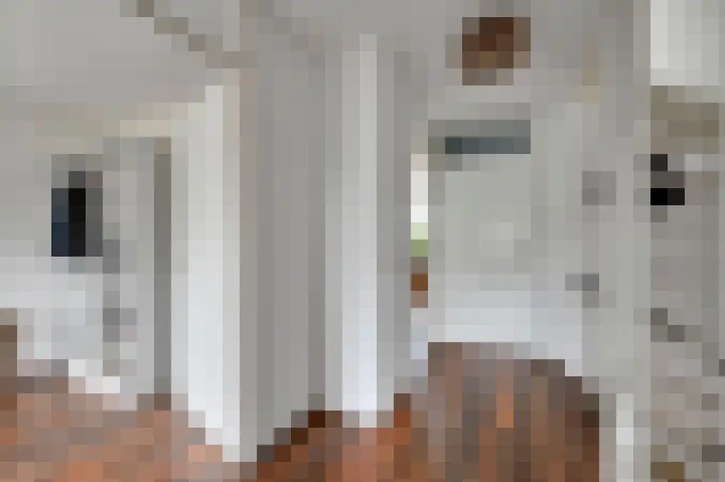 Dodaarsoever 14 Den Haag thumbnail 28