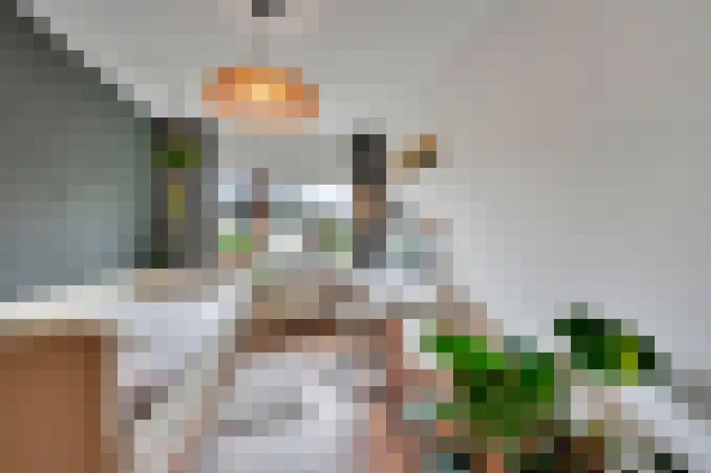 Dodaarsoever 14 Den Haag thumbnail 31