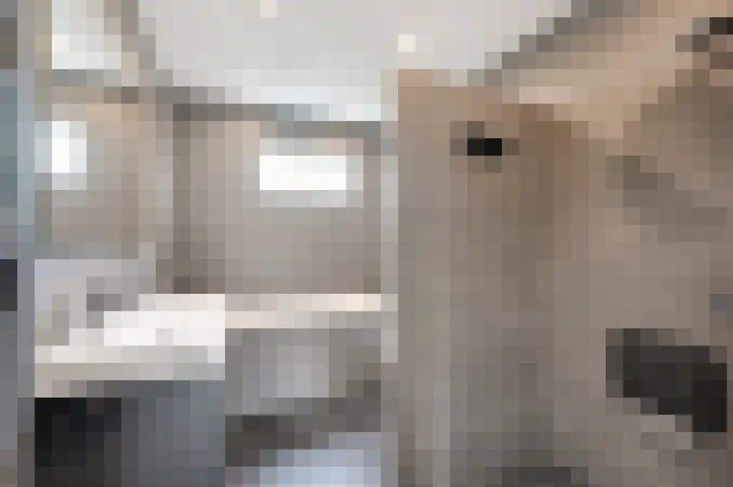 Dodaarsoever 14 Den Haag thumbnail 33