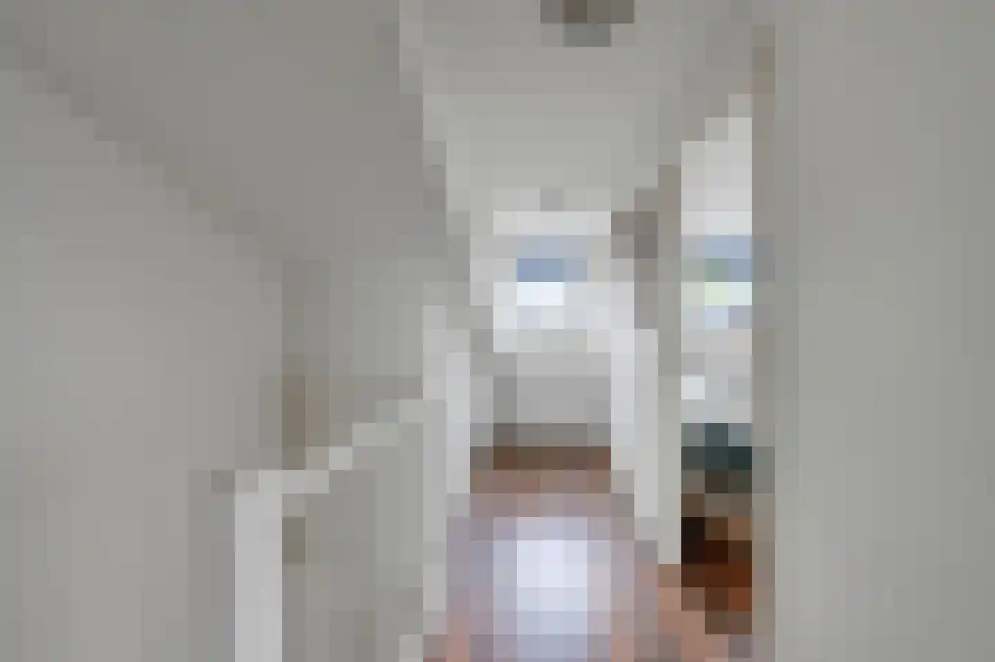 Dodaarsoever 14 Den Haag thumbnail 37
