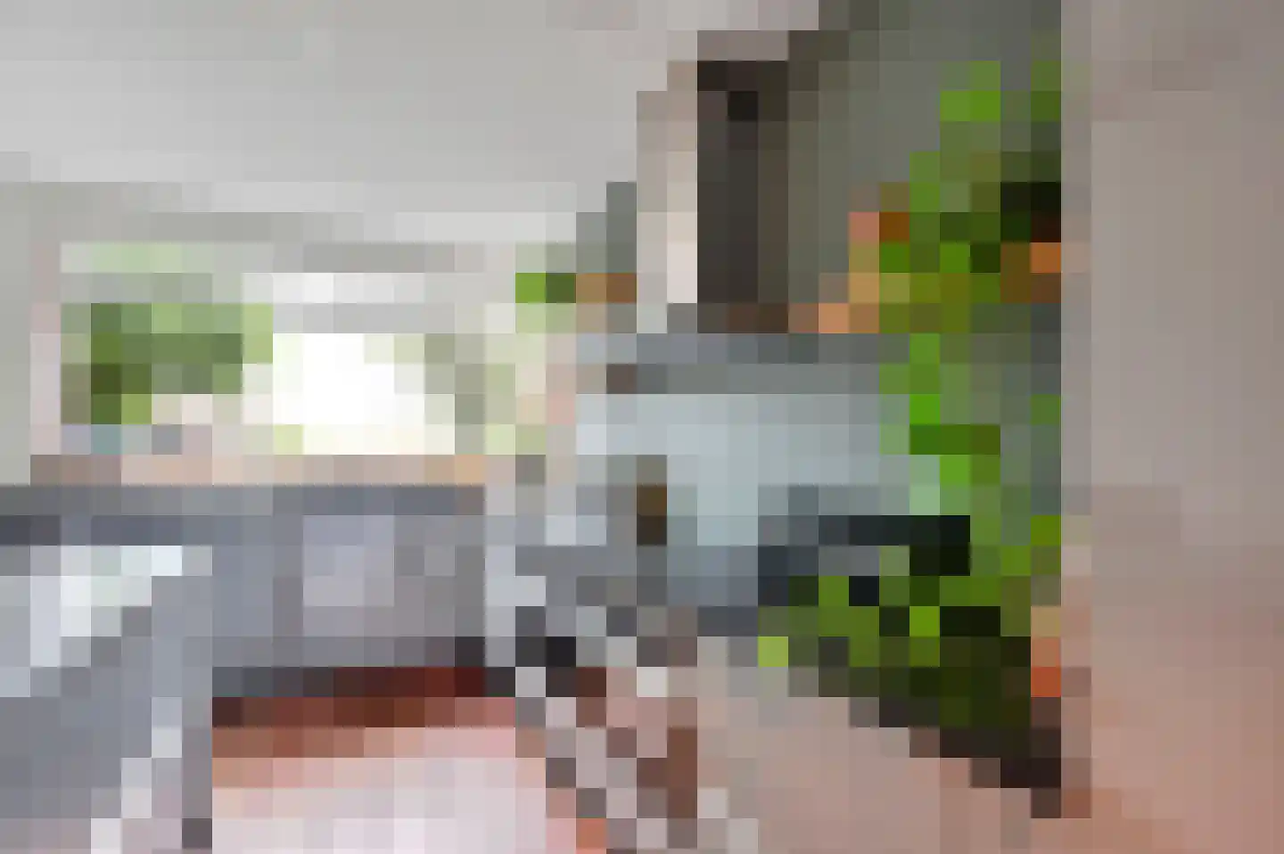 Dodaarsoever 14 Den Haag thumbnail 4