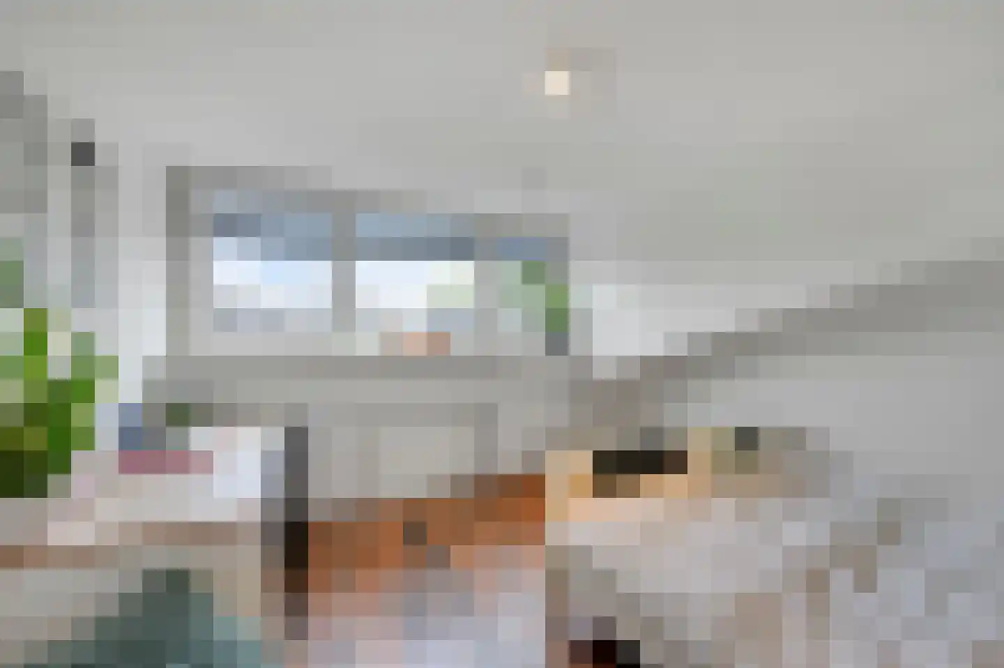 Dodaarsoever 14 Den Haag thumbnail 43