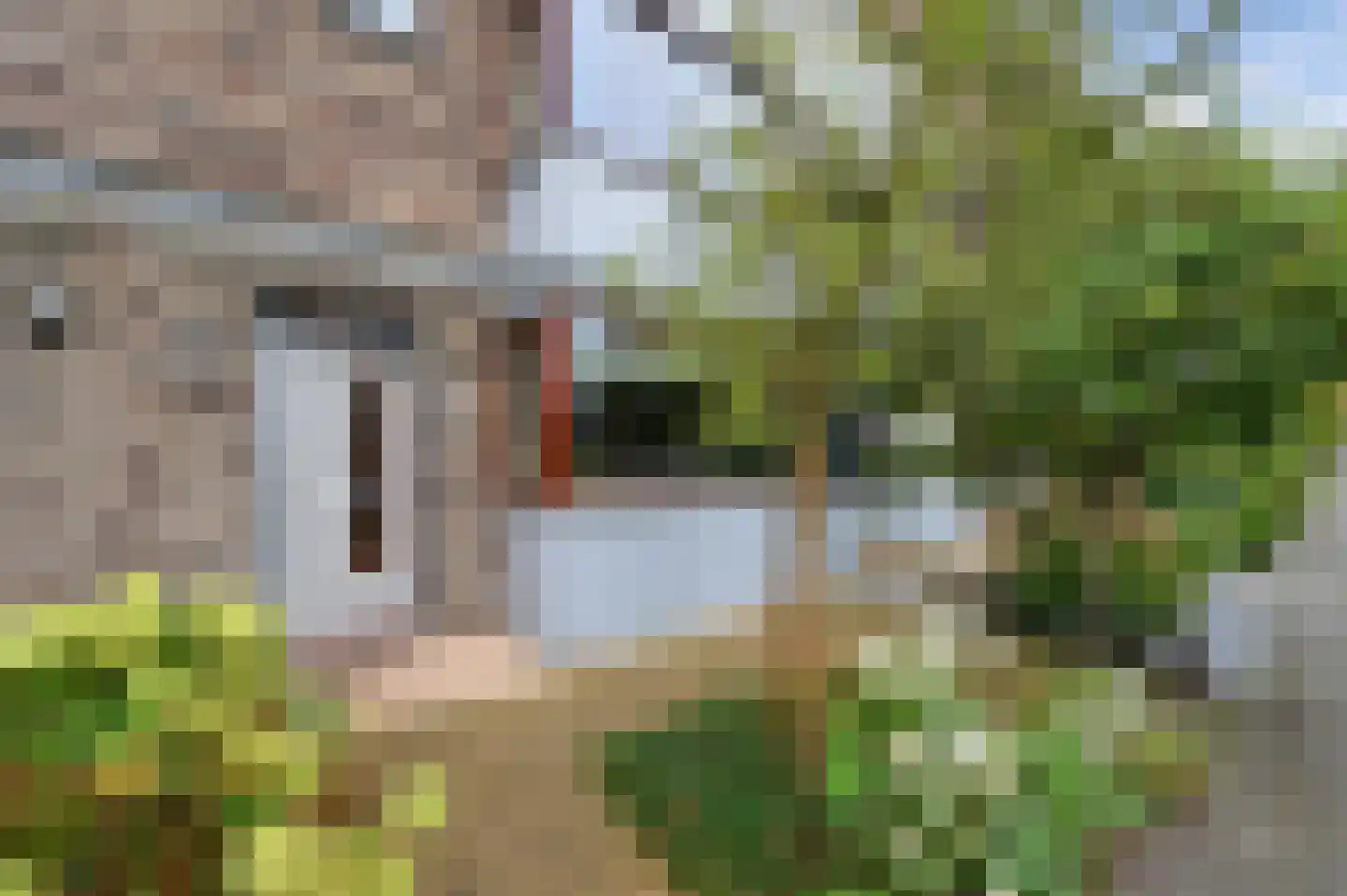 Dodaarsoever 14 Den Haag thumbnail 6