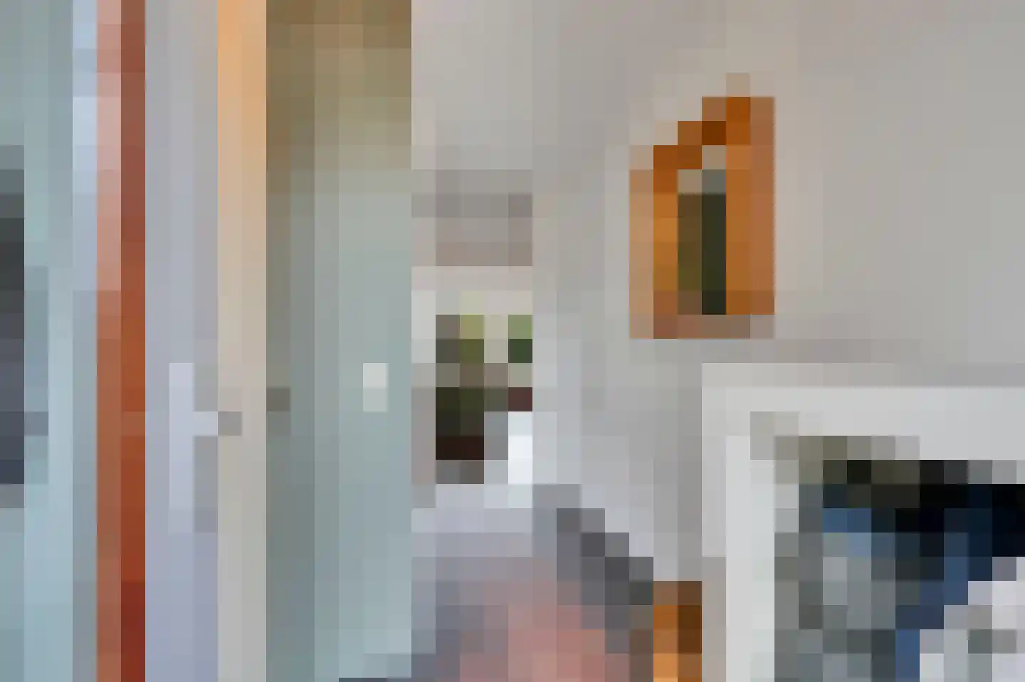 Dodaarsoever 14 Den Haag thumbnail 7
