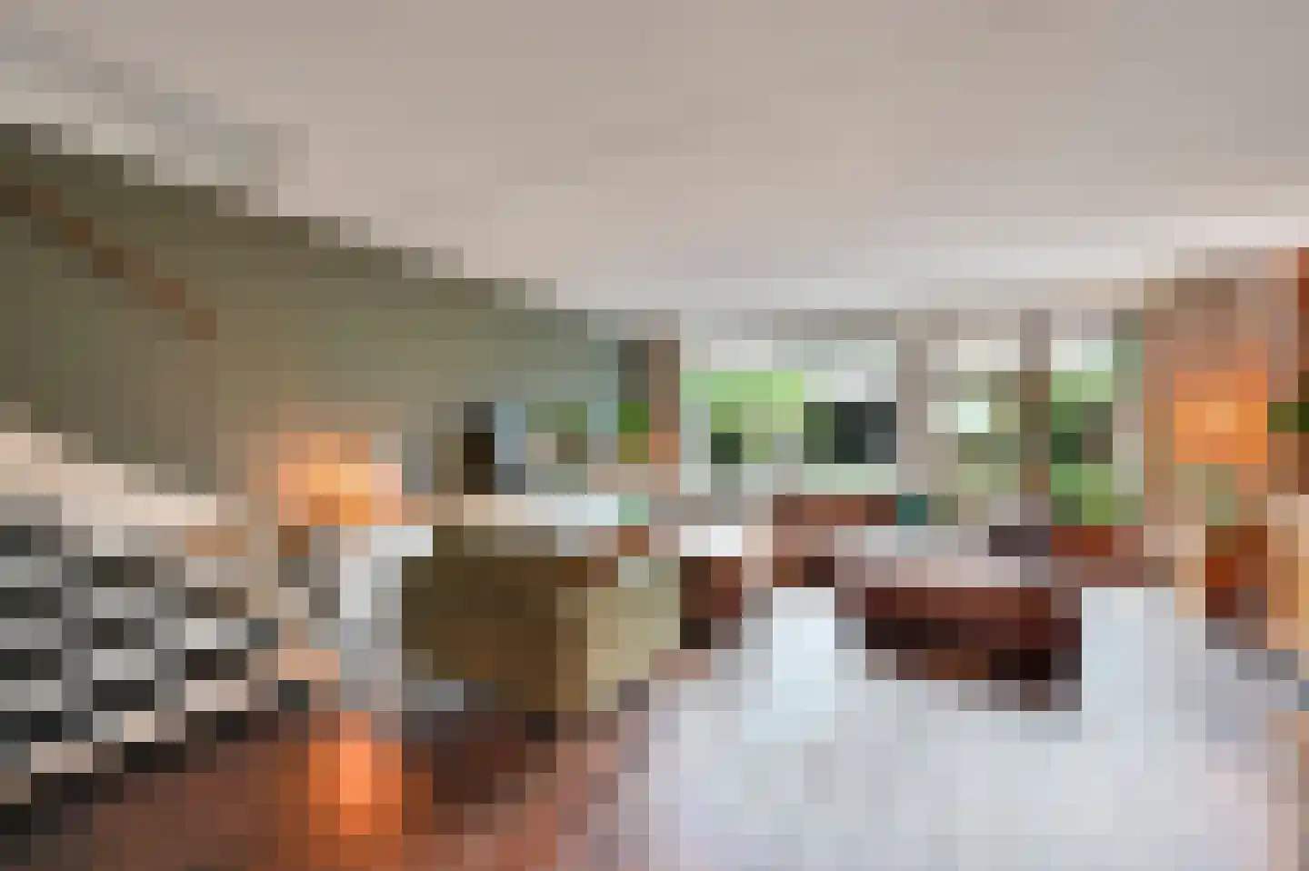 Dodaarsoever 14 Den Haag thumbnail 9