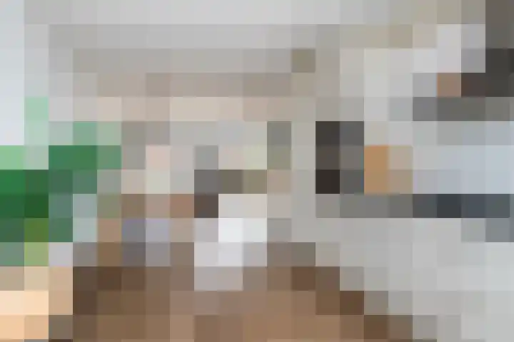 Dodaarsoever 16 Den Haag thumbnail 10