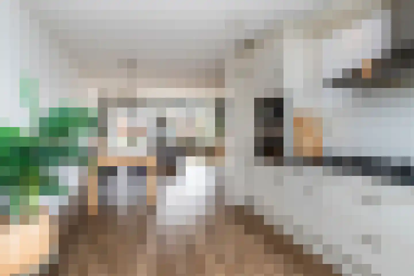 Dodaarsoever 16 Den Haag thumbnail 10