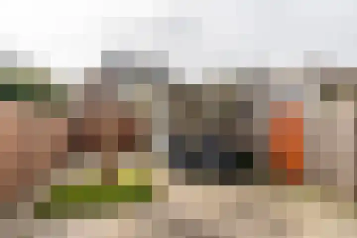 Dodaarsoever 16 Den Haag thumbnail 19