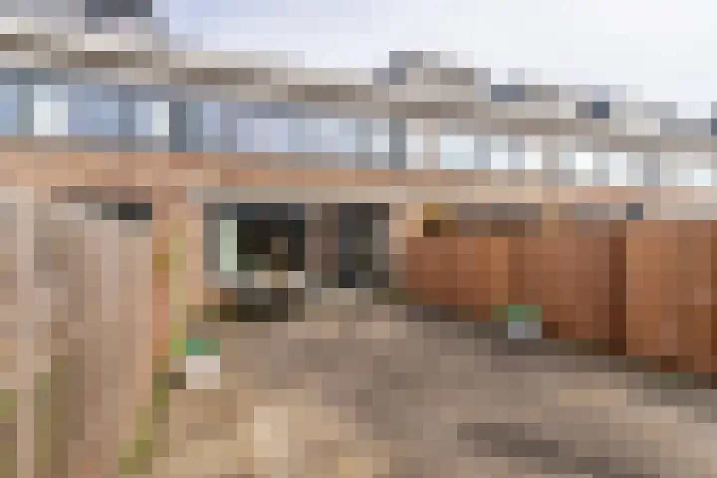 Dodaarsoever 16 Den Haag thumbnail 20