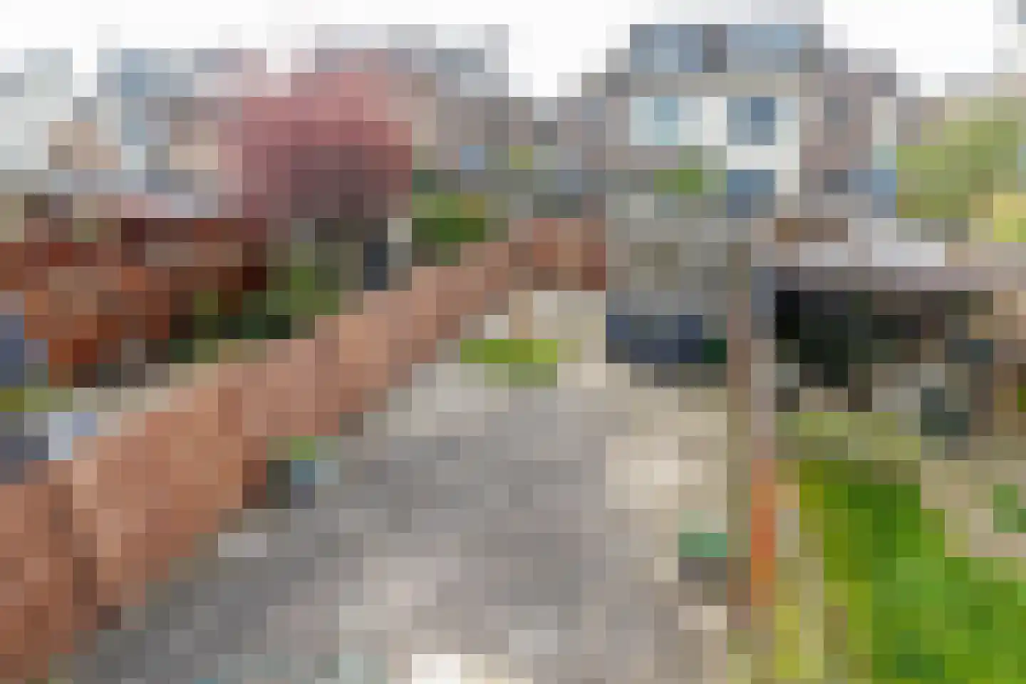 Dodaarsoever 16 Den Haag thumbnail 21