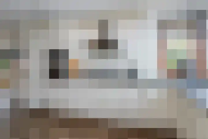 Dodaarsoever 16 Den Haag thumbnail 9