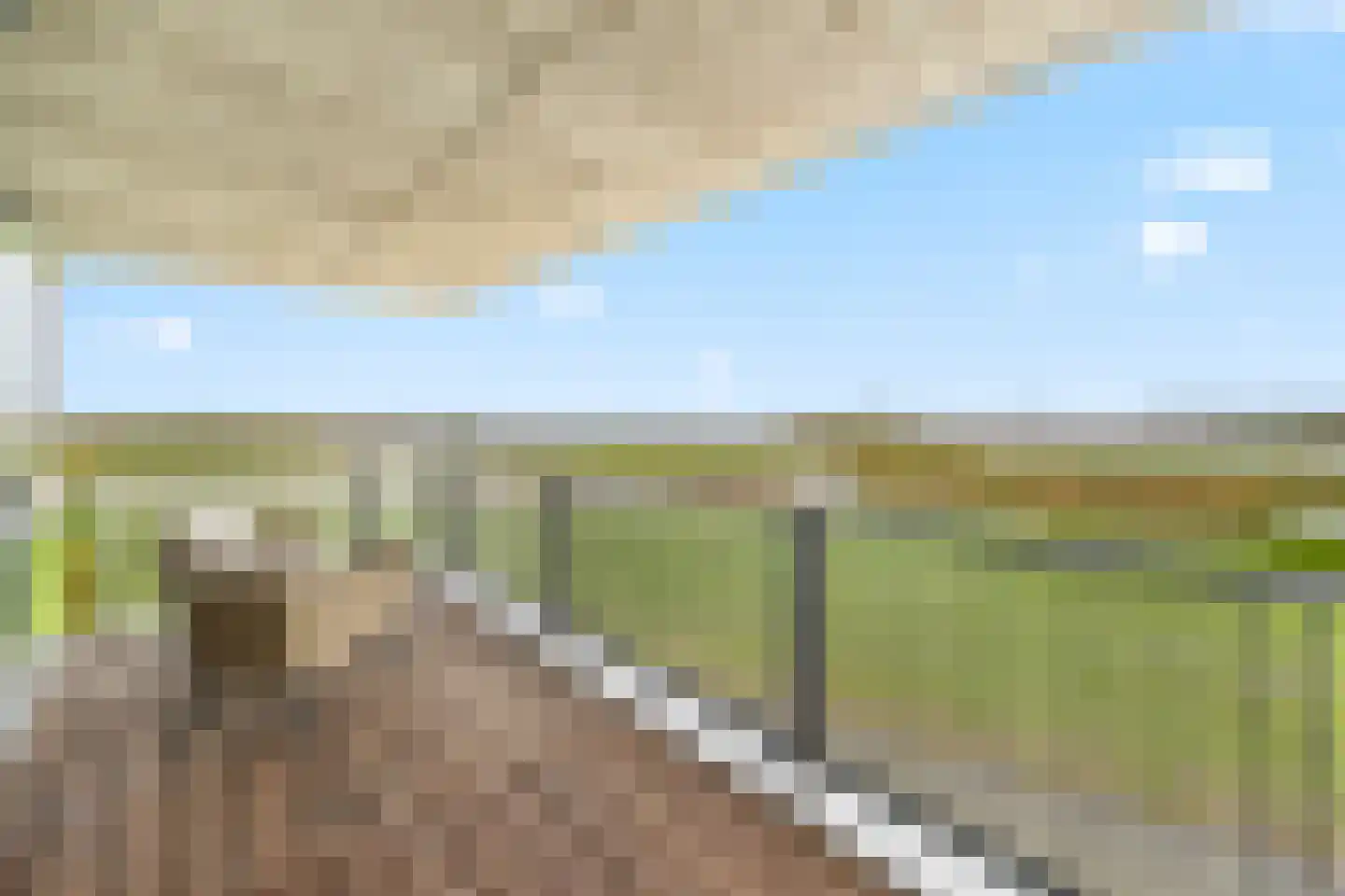 Dodaarsoever 41 in Den Haag