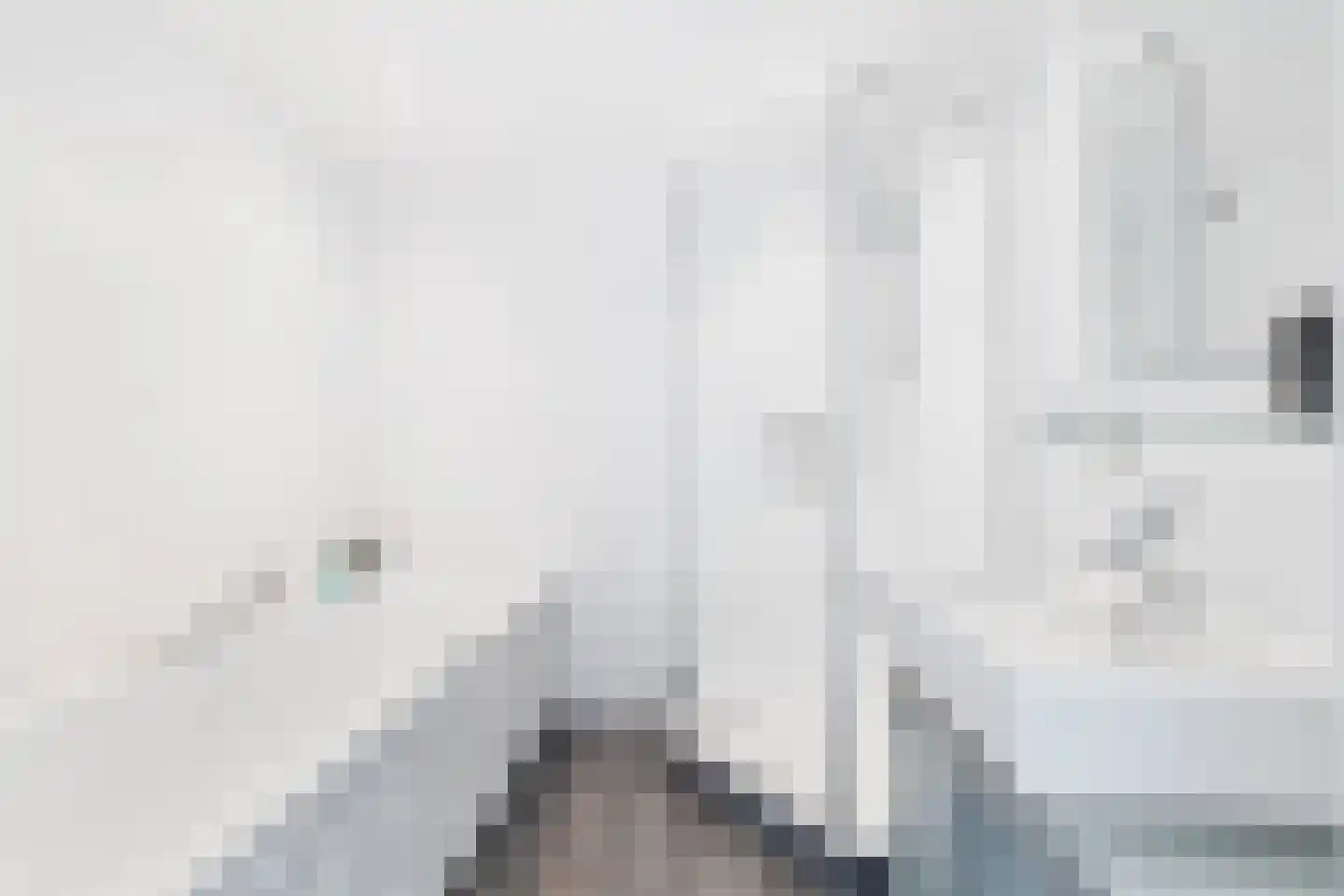 Dodaarsoever 41 Den Haag thumbnail 17