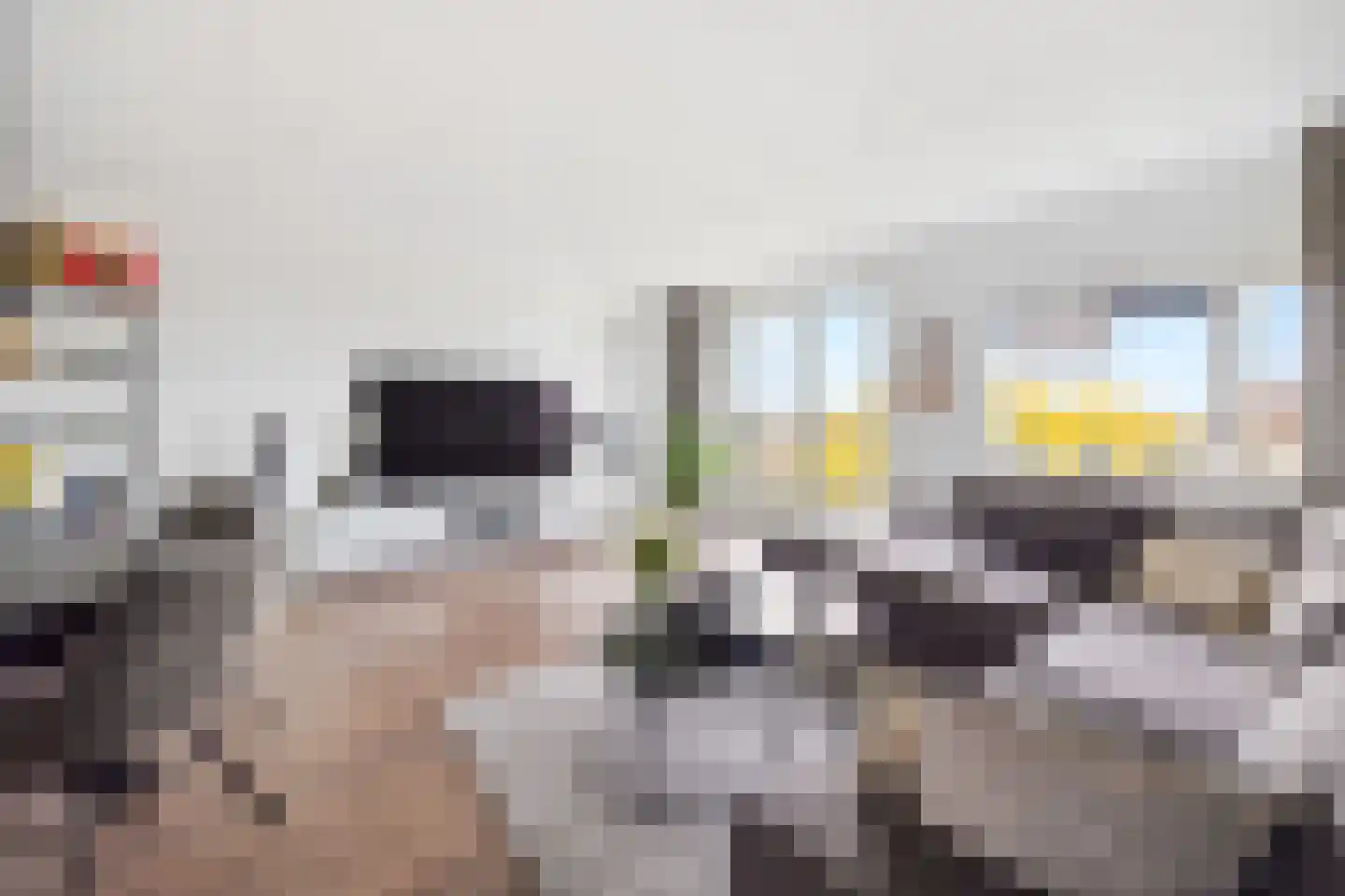Dodaarsoever 41 Den Haag thumbnail 20