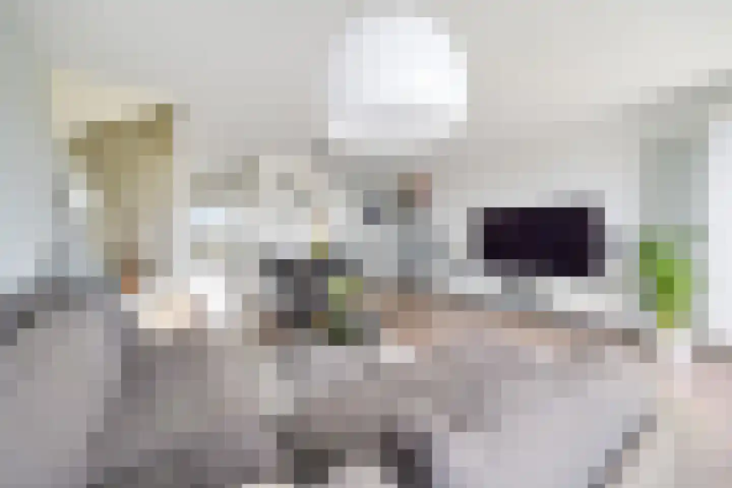 Dodaarsoever 41 Den Haag thumbnail 22