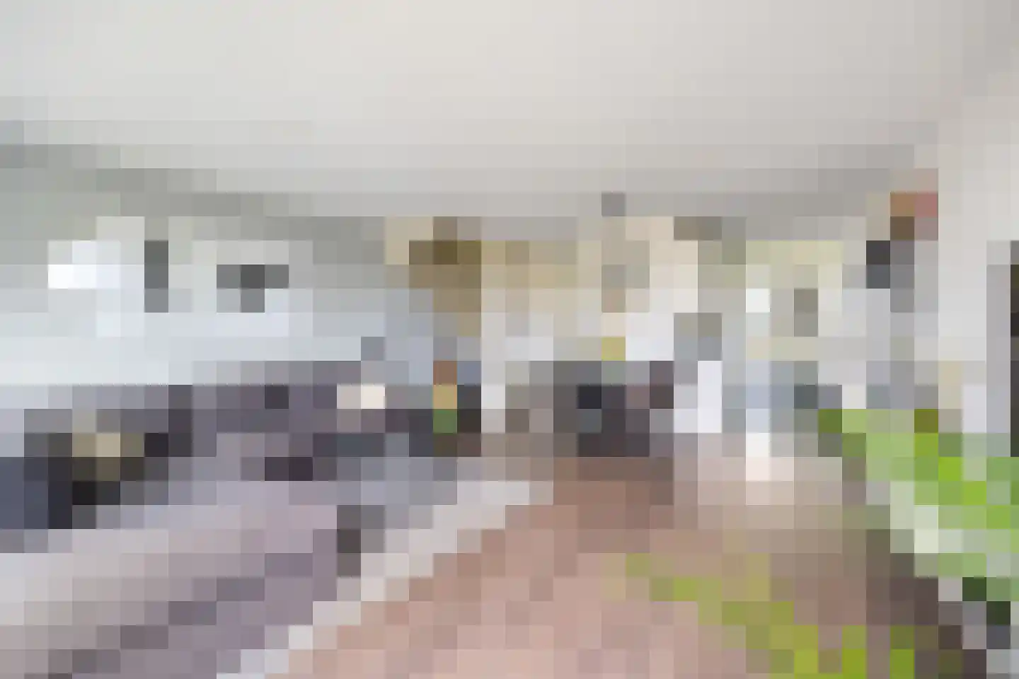 Dodaarsoever 41 Den Haag thumbnail 23