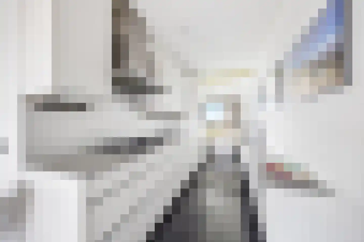 Dodaarsoever 41 Den Haag thumbnail 24