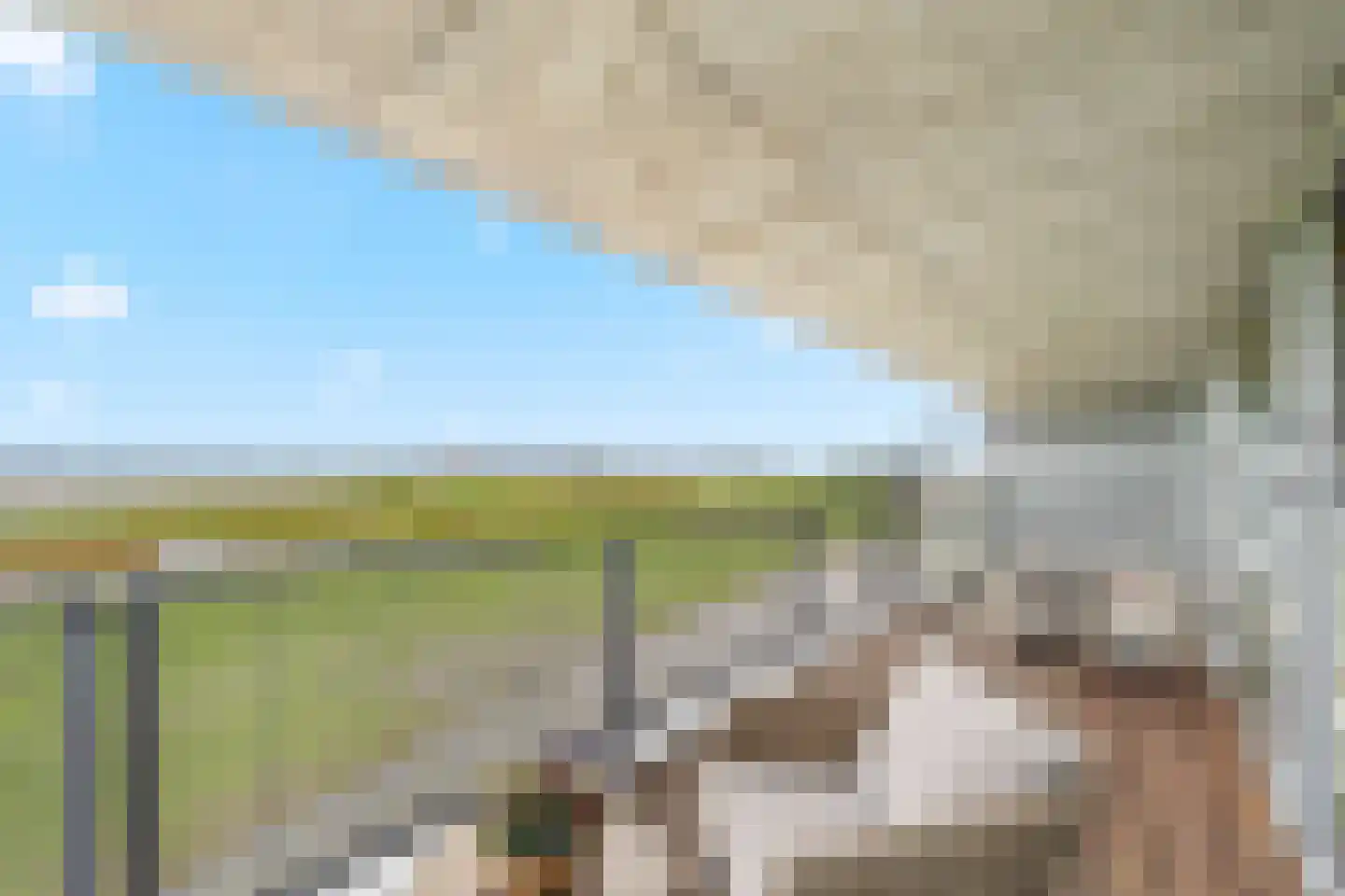 Dodaarsoever 41 Den Haag thumbnail 31
