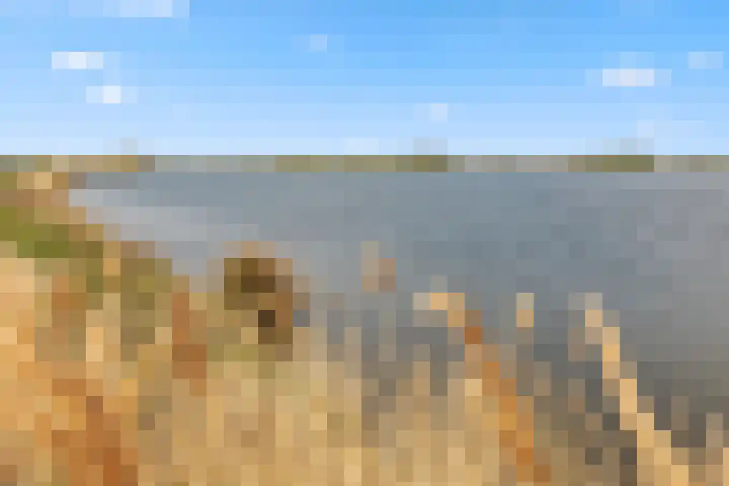 Dodaarsoever 41 Den Haag thumbnail 35