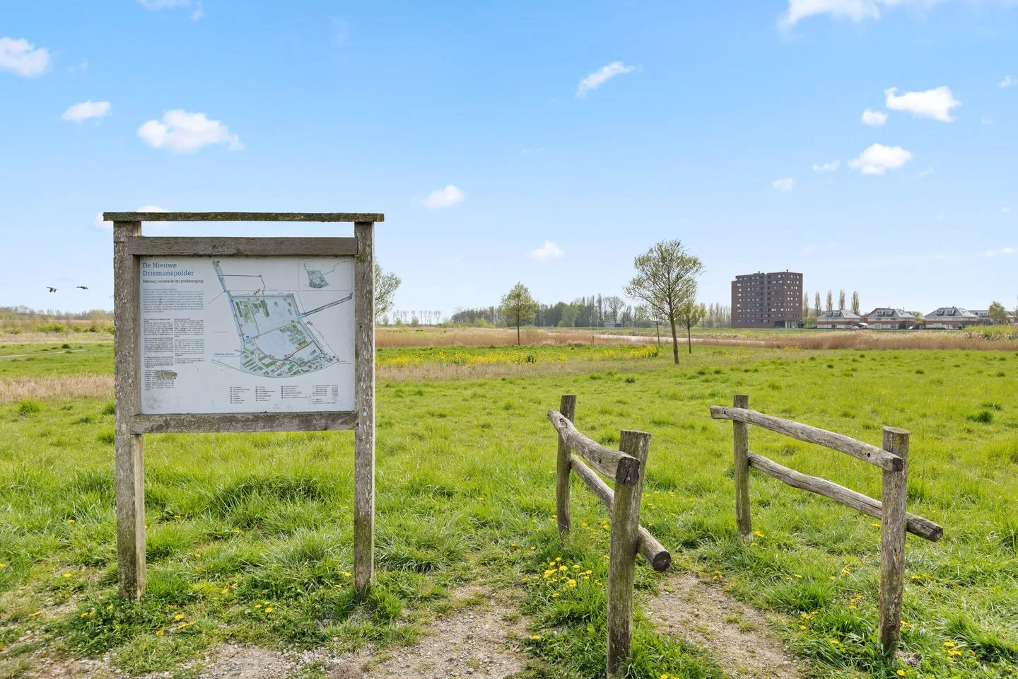 Dodaarsoever 41 Den Haag thumbnail 36