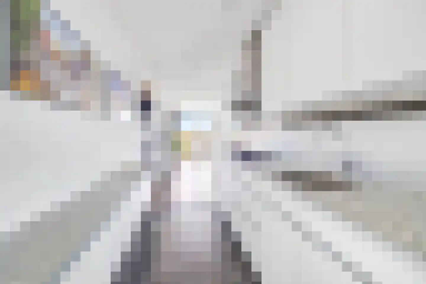 Dodaarsoever 41 Den Haag thumbnail 4