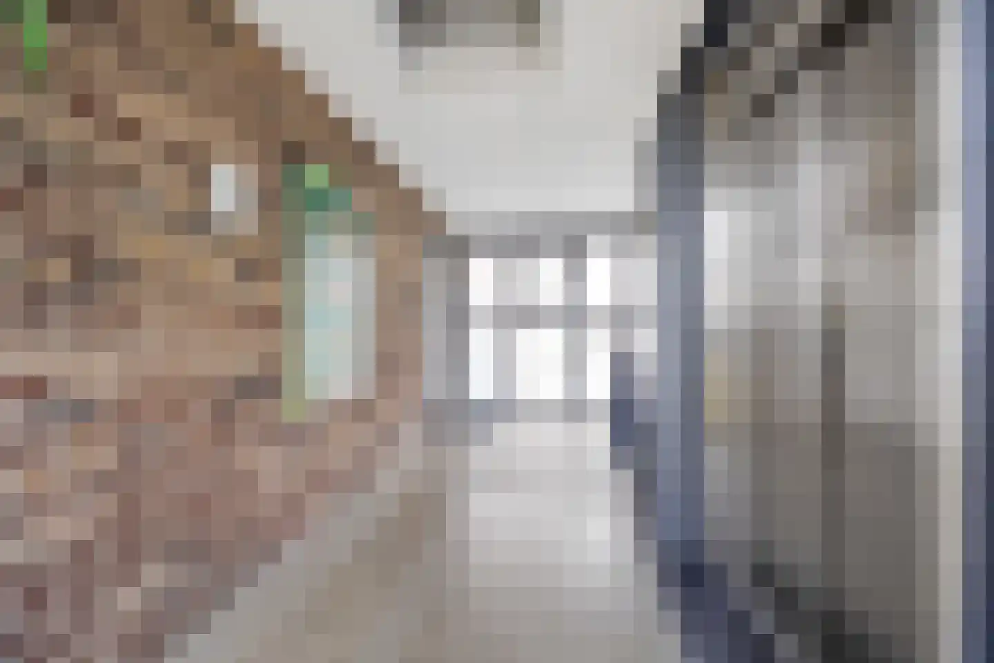 Dodaarsoever 41 Den Haag thumbnail 9
