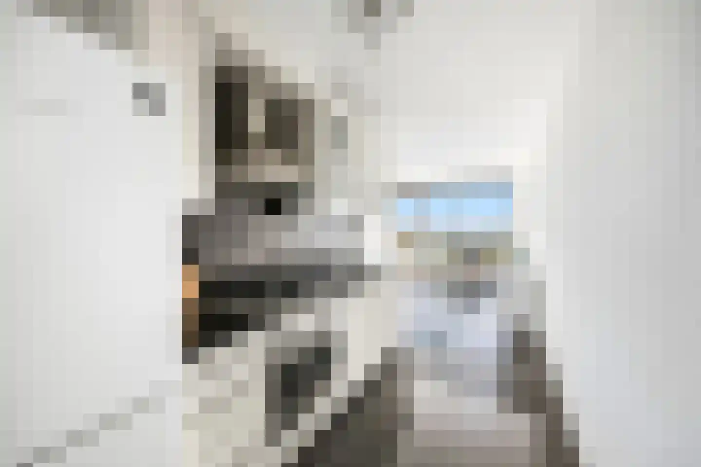 Dodaarsoever 45 Den Haag thumbnail 23