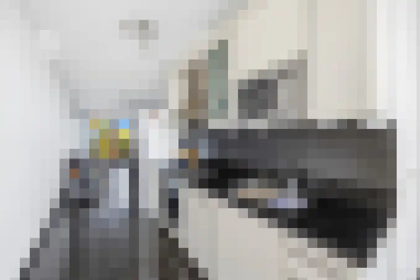 Dodaarsoever 45 Den Haag thumbnail 24