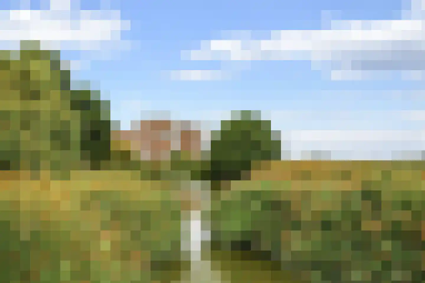 Dodaarsoever 45 Den Haag thumbnail 43