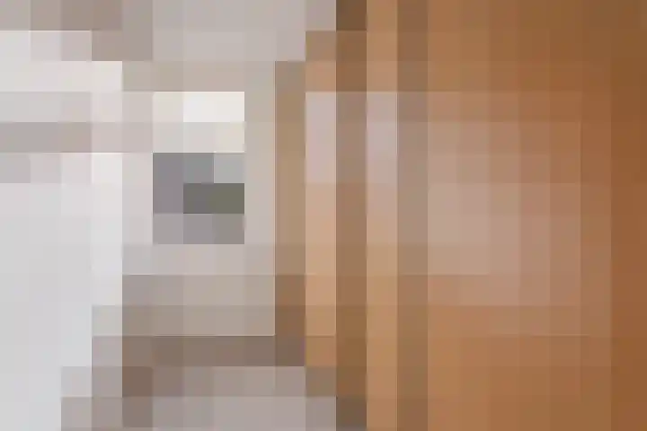 Doddegras 18 Borne thumbnail 15