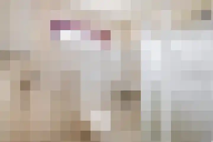 Doddegras 18 Borne thumbnail 21