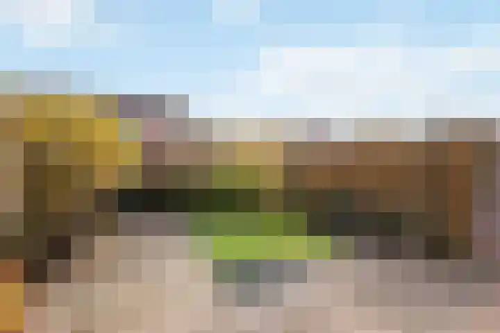 Doddegras 18 Borne thumbnail 4