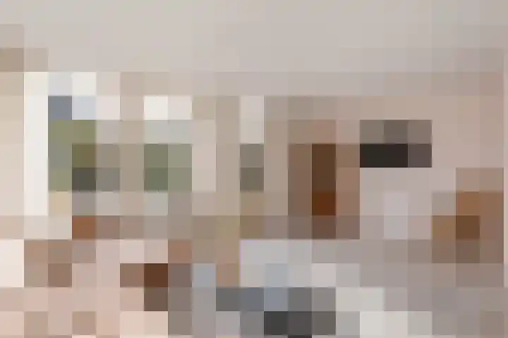 Doddegras 18 Borne thumbnail 7