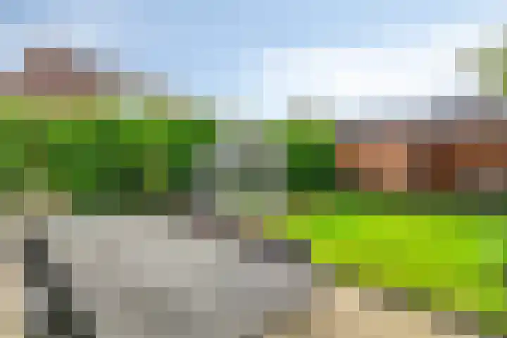 Doddegras 22 Veenendaal thumbnail 27
