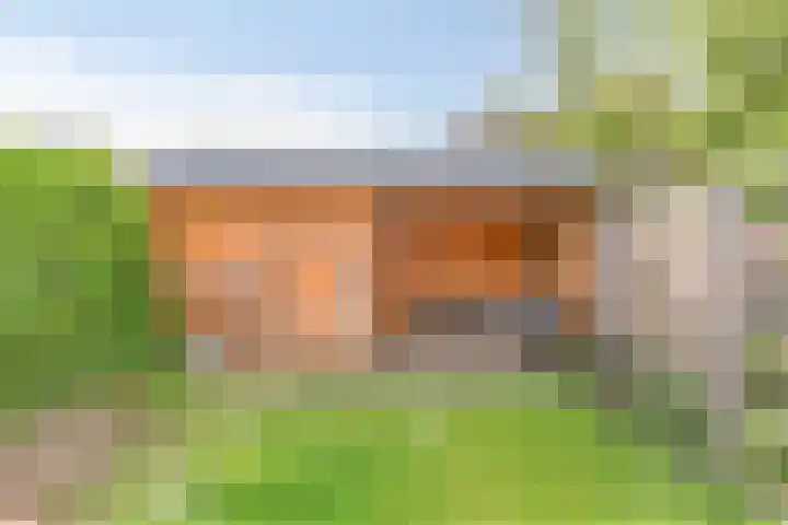 Doddegras 22 Veenendaal thumbnail 28
