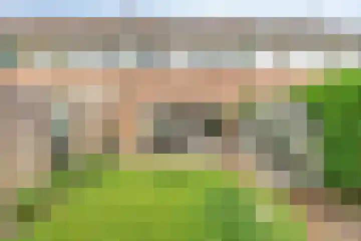 Doddegras 22 Veenendaal thumbnail 29