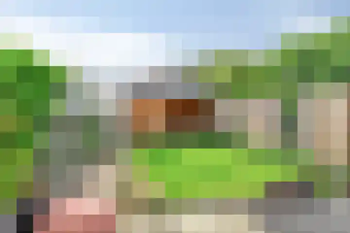 Doddegras 22 Veenendaal thumbnail 5